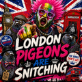 London Pigeons Are Snitching Sticker