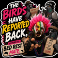The Birds Have Reported Back Return To Bed Best Mate Sticker