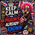 Keep Calm The Pigeon's Already Known UK Sticker