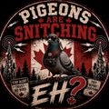 Pigeons Are Snitching EH? Sticker