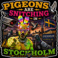 Pigeons Are Snitching In Stockholm Sticker